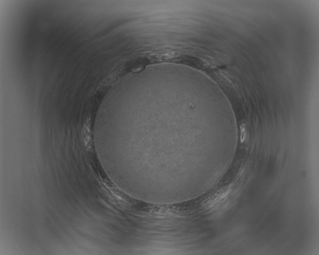 X0000074961011200609011141