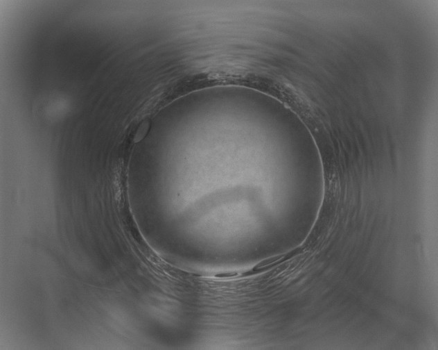 X0000074961012200609011141