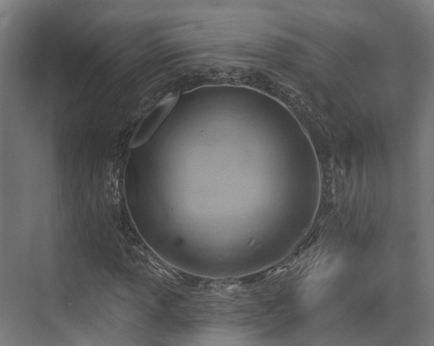 X0000074961013200609011141