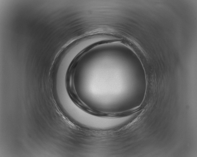 X0000074961018200609011141
