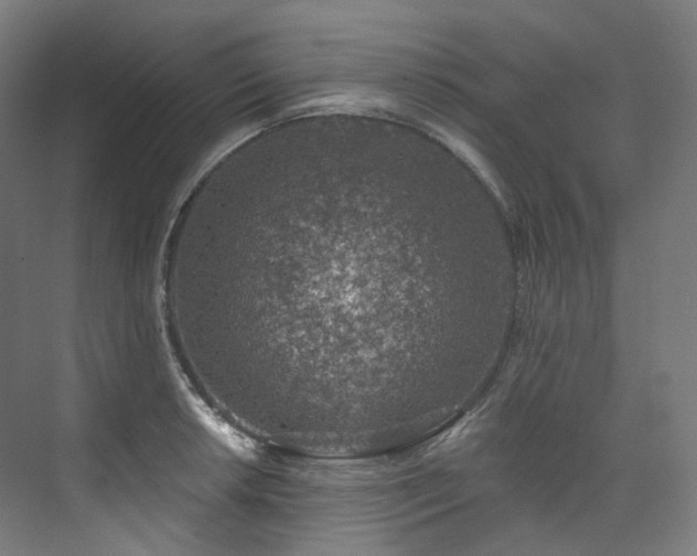 X0000074961042200609011141