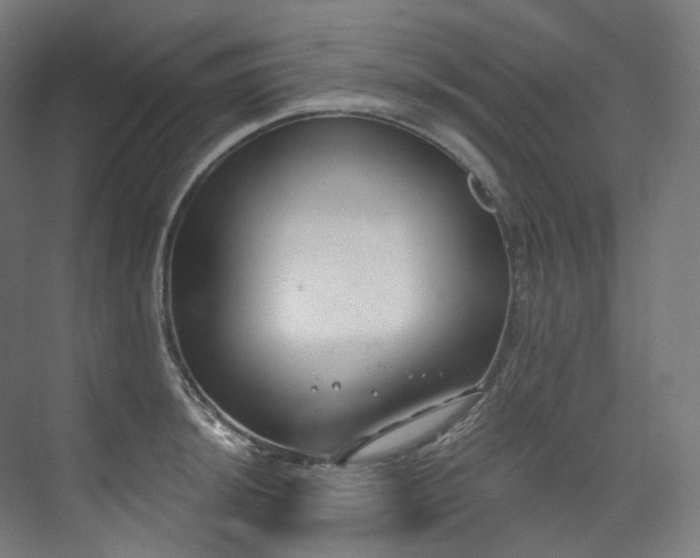 X0000074961044200609011141