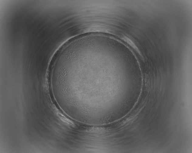 X0000074961068200609011140