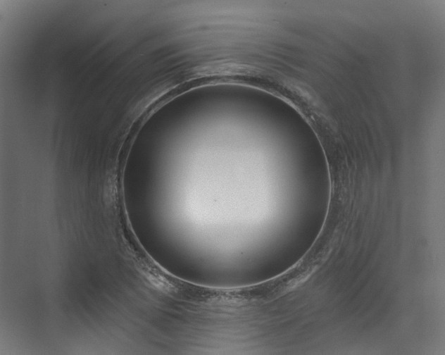 X0000074961073200609011140