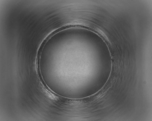 X0000074961076200609011140
