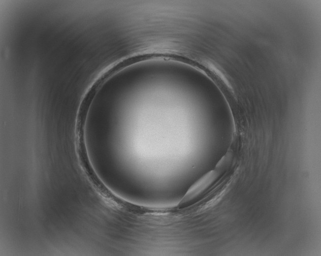 X0000074961077200609011140