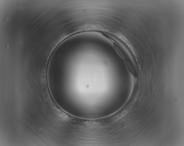 X0000074961089200609011140