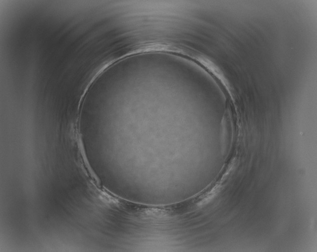 X0000074961097200609011140