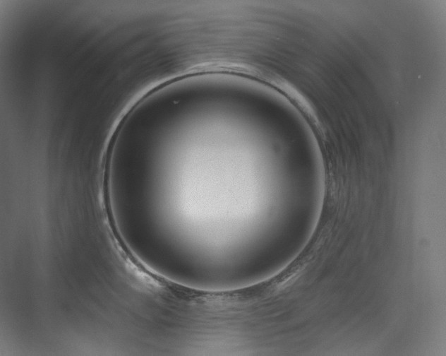 X0000074961102200609011140