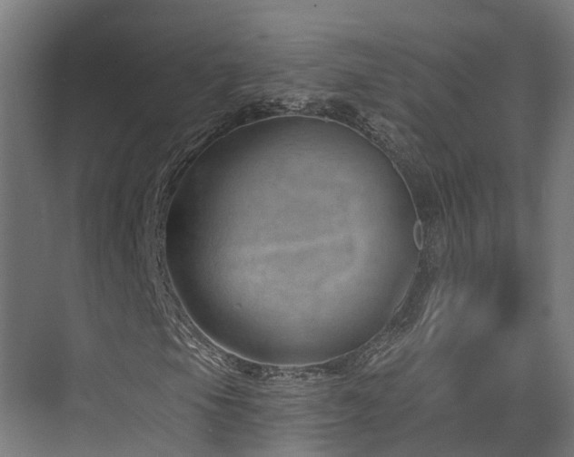 X0000074961105200609011139