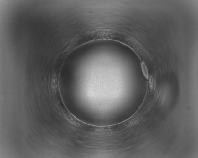 X0000074961107200609011139