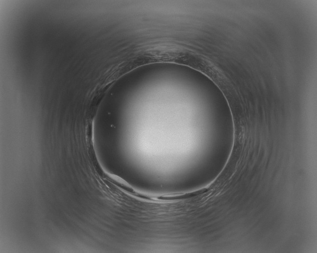 X0000074961108200609011139