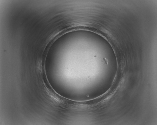 X0000074961113200609011139