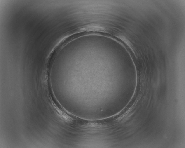 X0000074961115200609011139