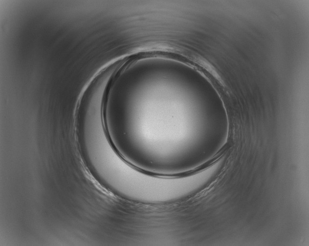 X0000074961116200609011139
