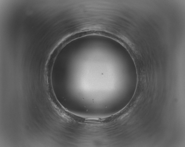 X0000074961118200609011139