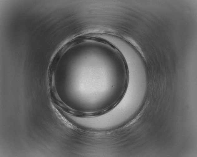X0000074961122200609011139