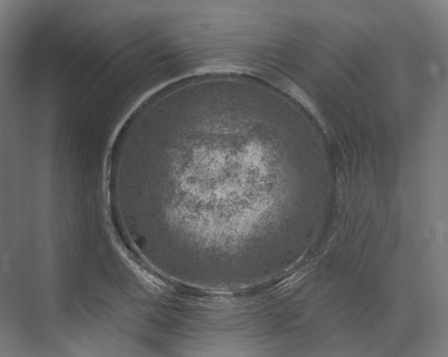 X0000074961124200609011139