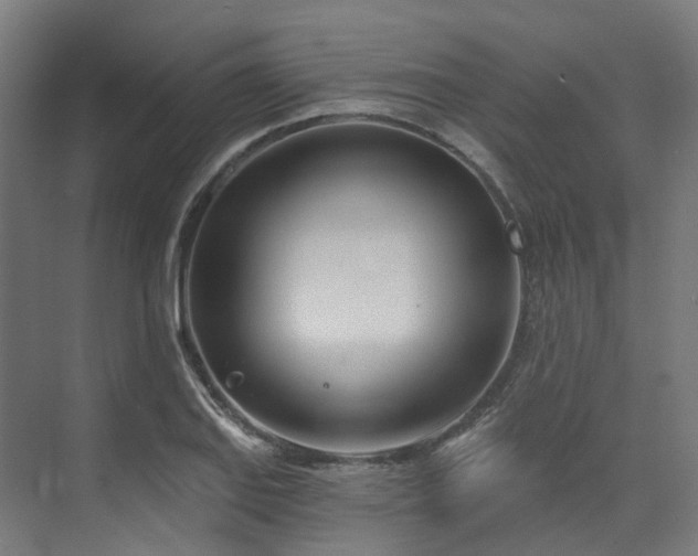 X0000074961127200609011139