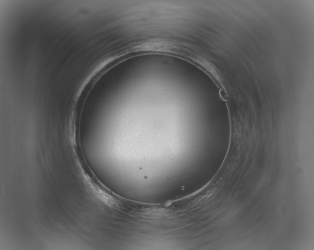 X0000074961131200609011139