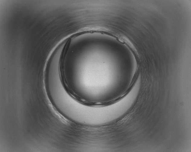 X0000074961132200609011139