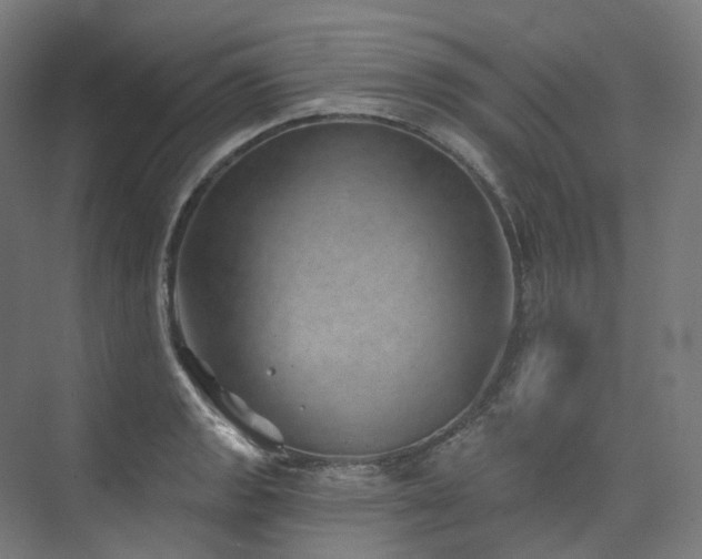 X0000074961133200609011139