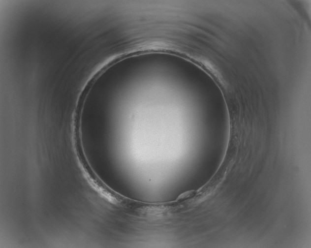 X0000074961134200609011139