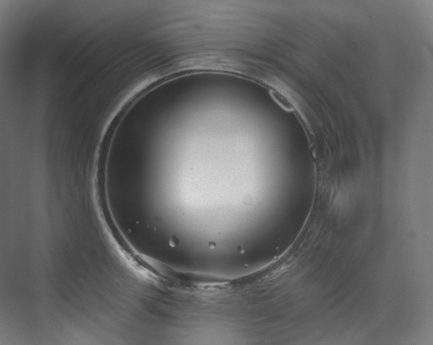 X0000074961139200609011139