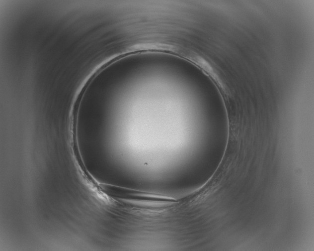 X0000074961140200609011139