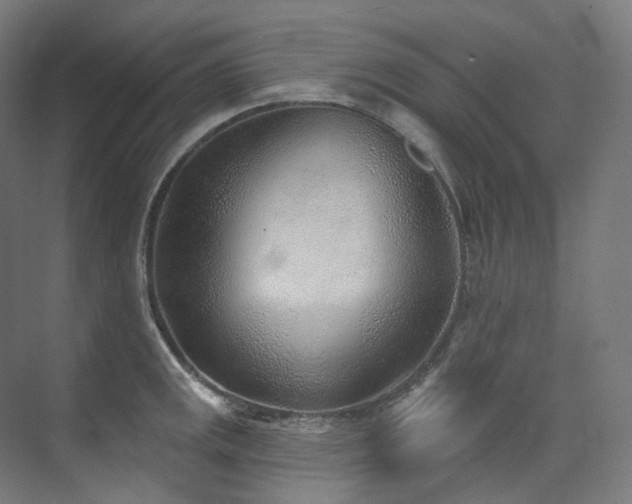 X0000074961141200609011139