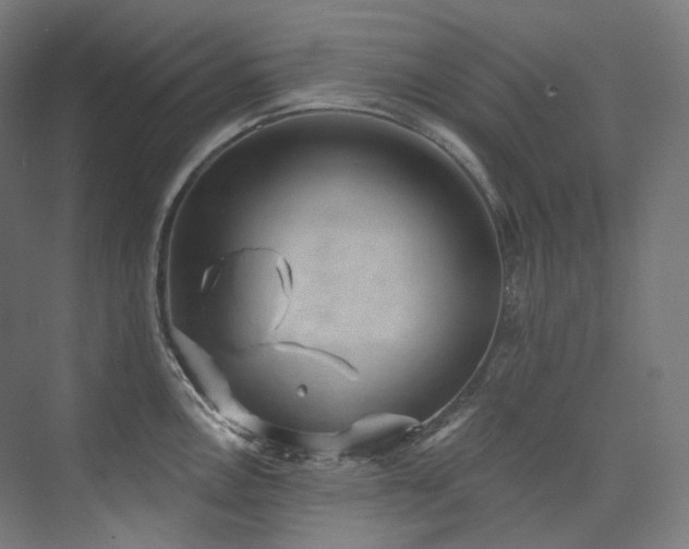 X0000074961146200609011140