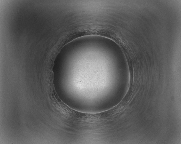 X0000074961153200609011139