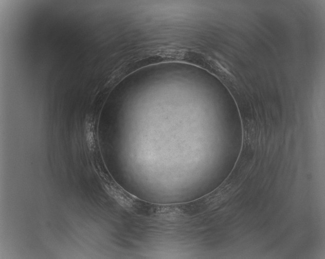 X0000074961154200609011139