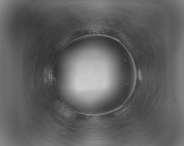X0000074961155200609011139