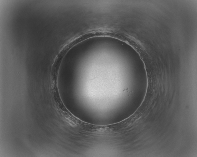 X0000074961160200609011139