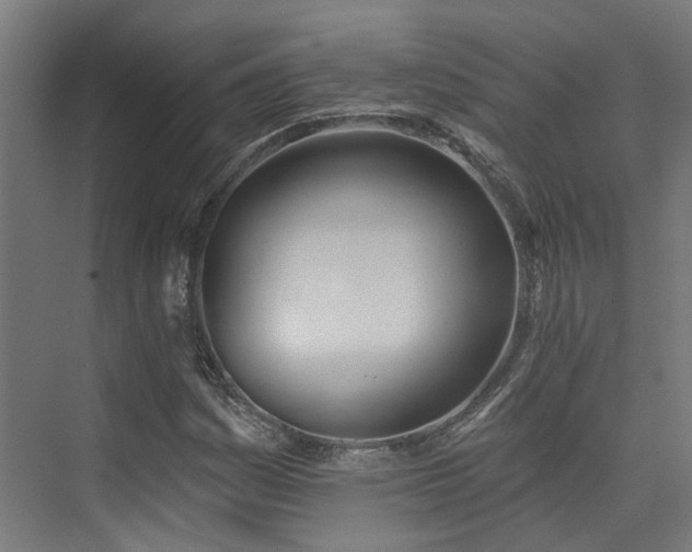 X0000074961161200609011139