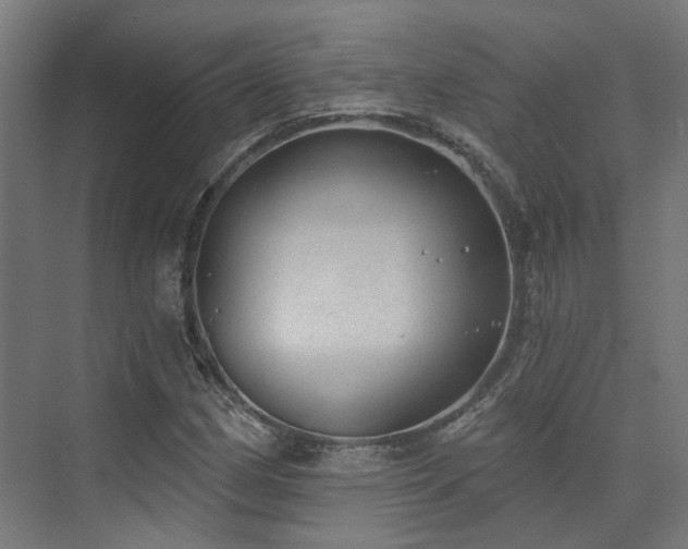 X0000074961162200609011139