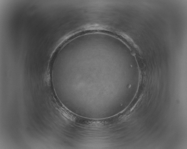 X0000074961167200609011139