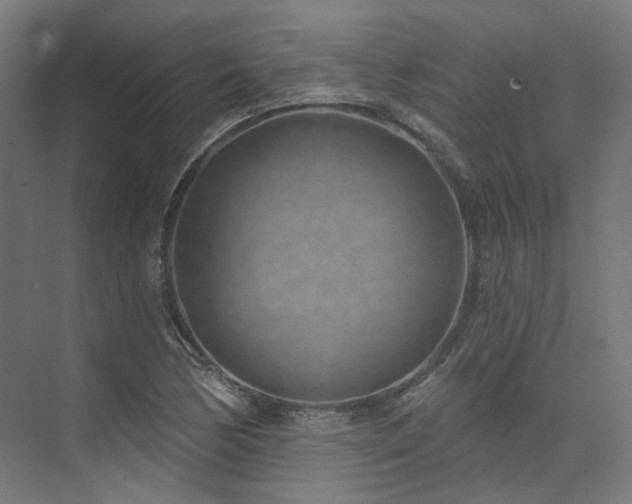 X0000074961170200609011139