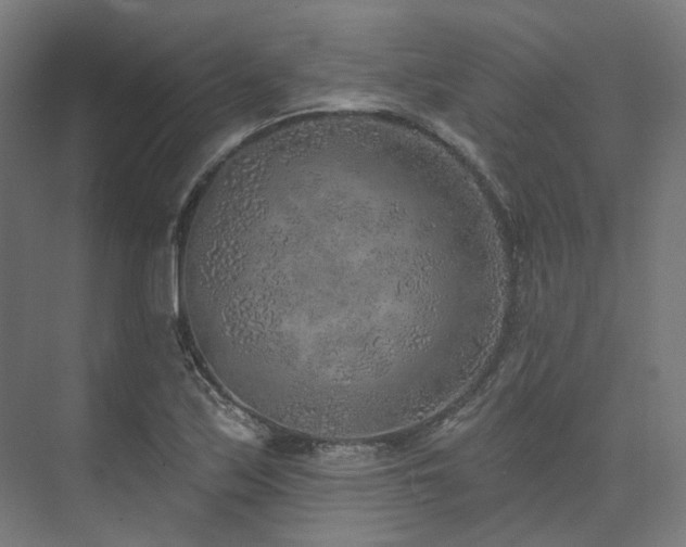 X0000074961171200609011139