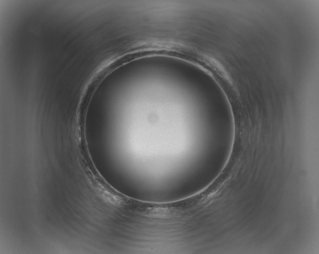 X0000074961172200609011139