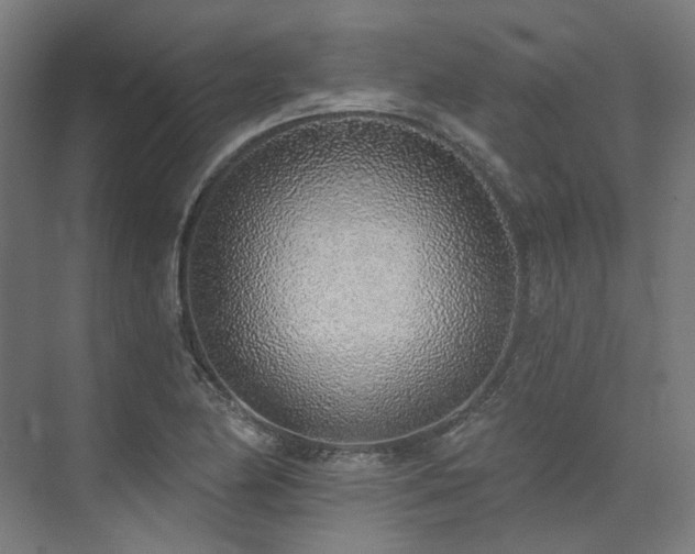 X0000074961174200609011139