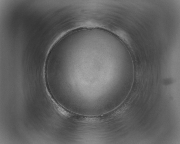 X0000074961183200609011138