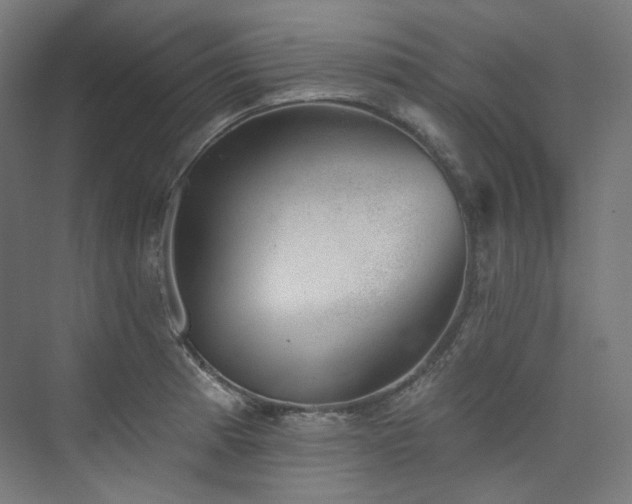 X0000074961185200609011138