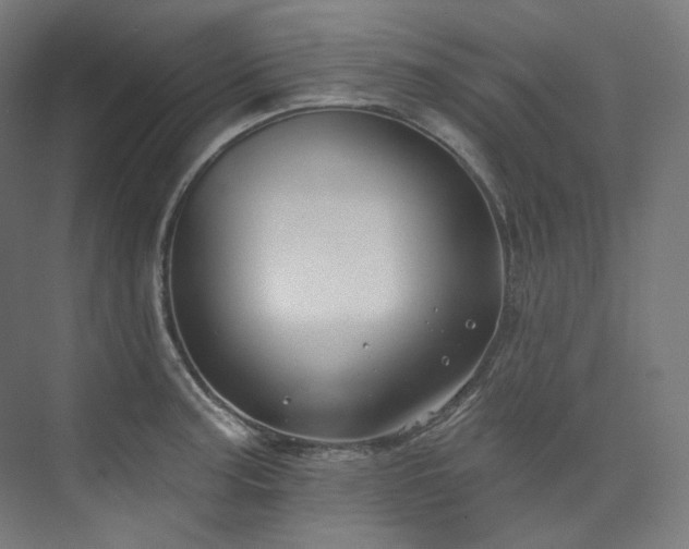X0000074961187200609011138