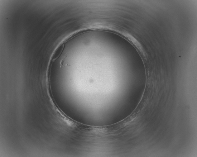 X0000074961191200609011138