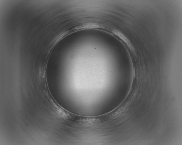 X0000074961193200609011138