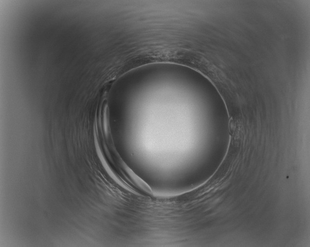X0000074961202200609011137