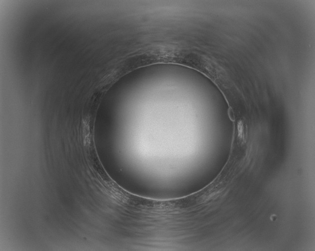 X0000074961203200609011137