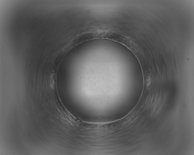 X0000074961204200609011137